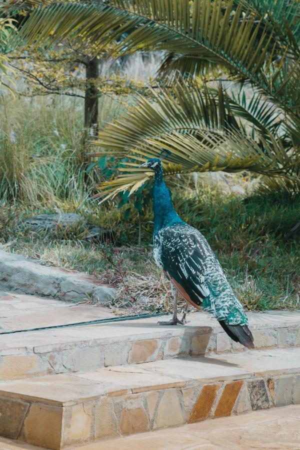 Saab Royale Resort Kajiado Luaran gambar